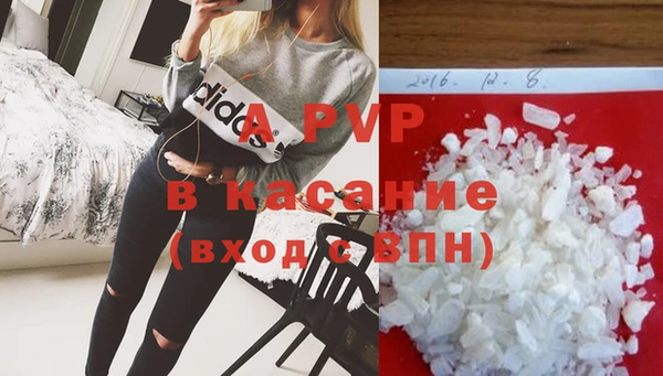 стафф Абаза