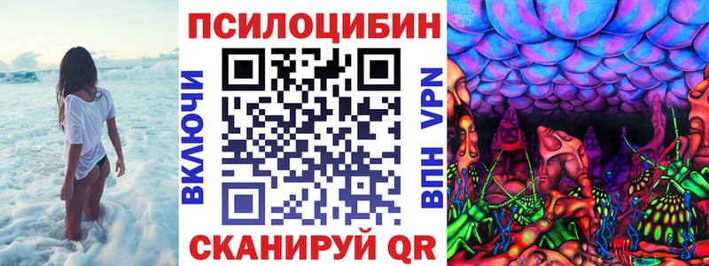 купить наркотик  Тайга  Псилоцибиновые грибы мицелий 